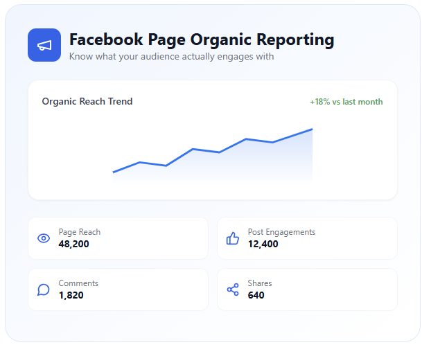 Facebook Page Reporting